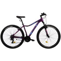 Dámsky horský bicykel DHS Terrana 2922 29&quot; - model 2022 Violet - 18&quot;