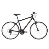 Crossový bicykel ALPINA ECO C10 - model 2021 Black - L (21'')