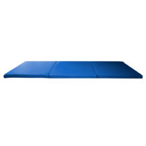 Skladacia gymnastická žinenka inSPORTline Pliago 180x60x5 cm modrá