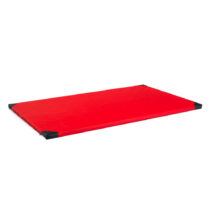 Gymnastická žinenka inSPORTline Roshar T90 200x120x5 cm červená