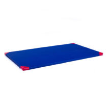 Gymnastická žinenka inSPORTline Roshar T90 200x120x5 cm modrá